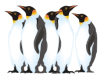 Captcha image 1968